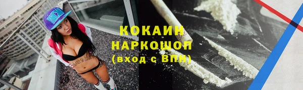 гашик Вязники