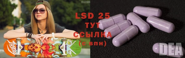 PSILOCYBIN Вяземский