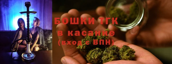 PSILOCYBIN Вяземский