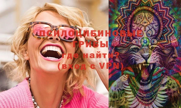 PSILOCYBIN Вяземский