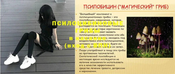 PSILOCYBIN Вяземский