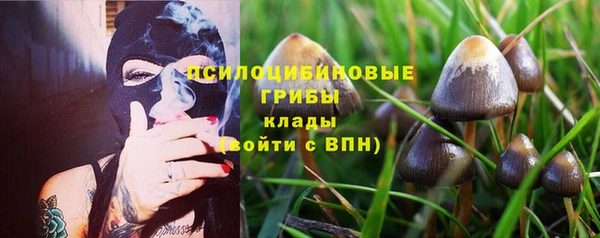 крисы Верея
