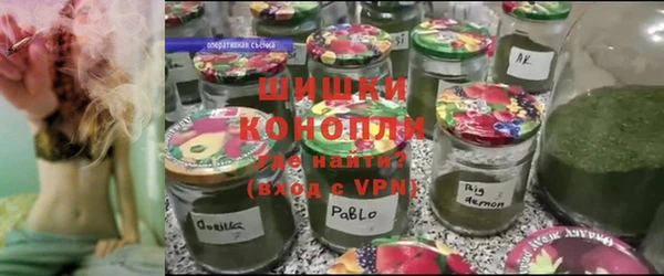 PSILOCYBIN Вяземский