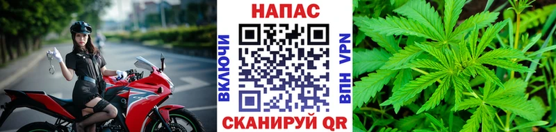 как найти закладки  Зарайск  Конопля AK-47 